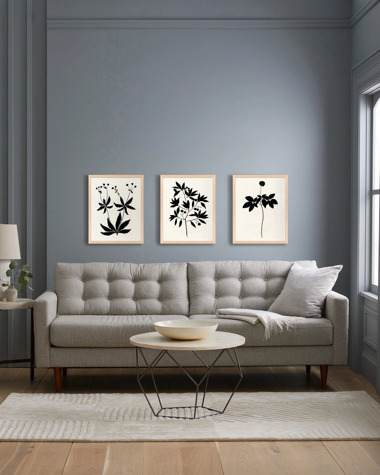 Botanical by Philippa Katz (Set of 3) - 17.25"x21.25" / Black