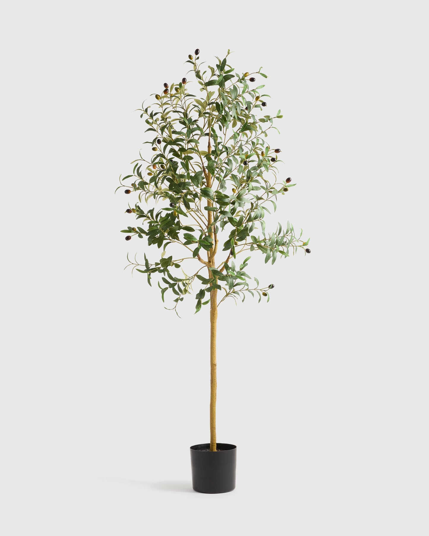Faux Olive Tree - 6' / Green
