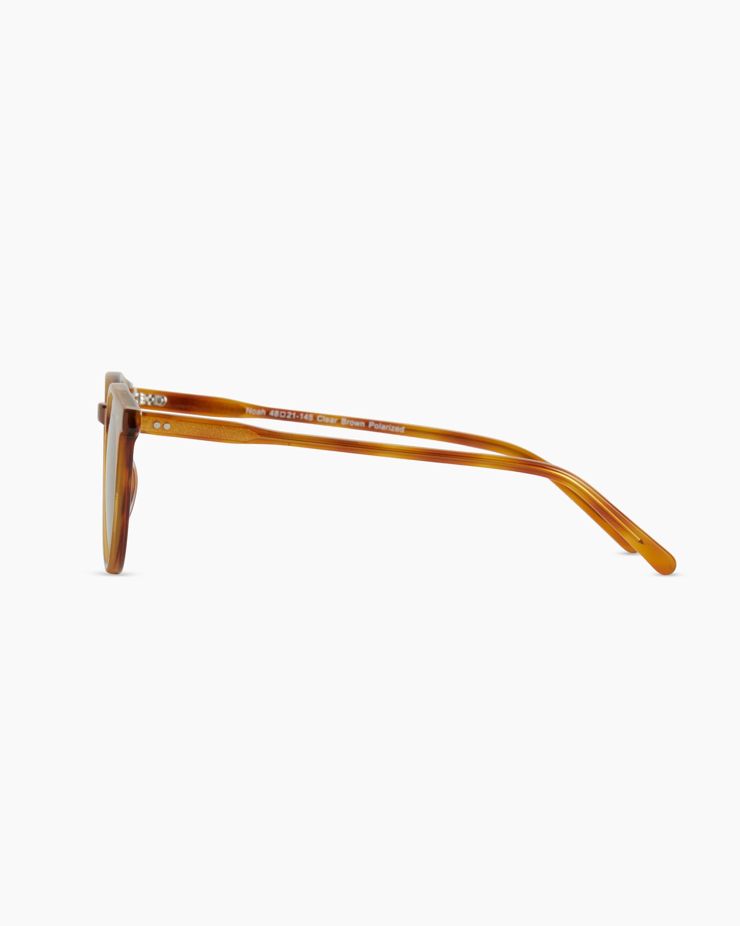 Noah Polarized Acetate Sunglasses - Standard / Tortoise with Brown lens