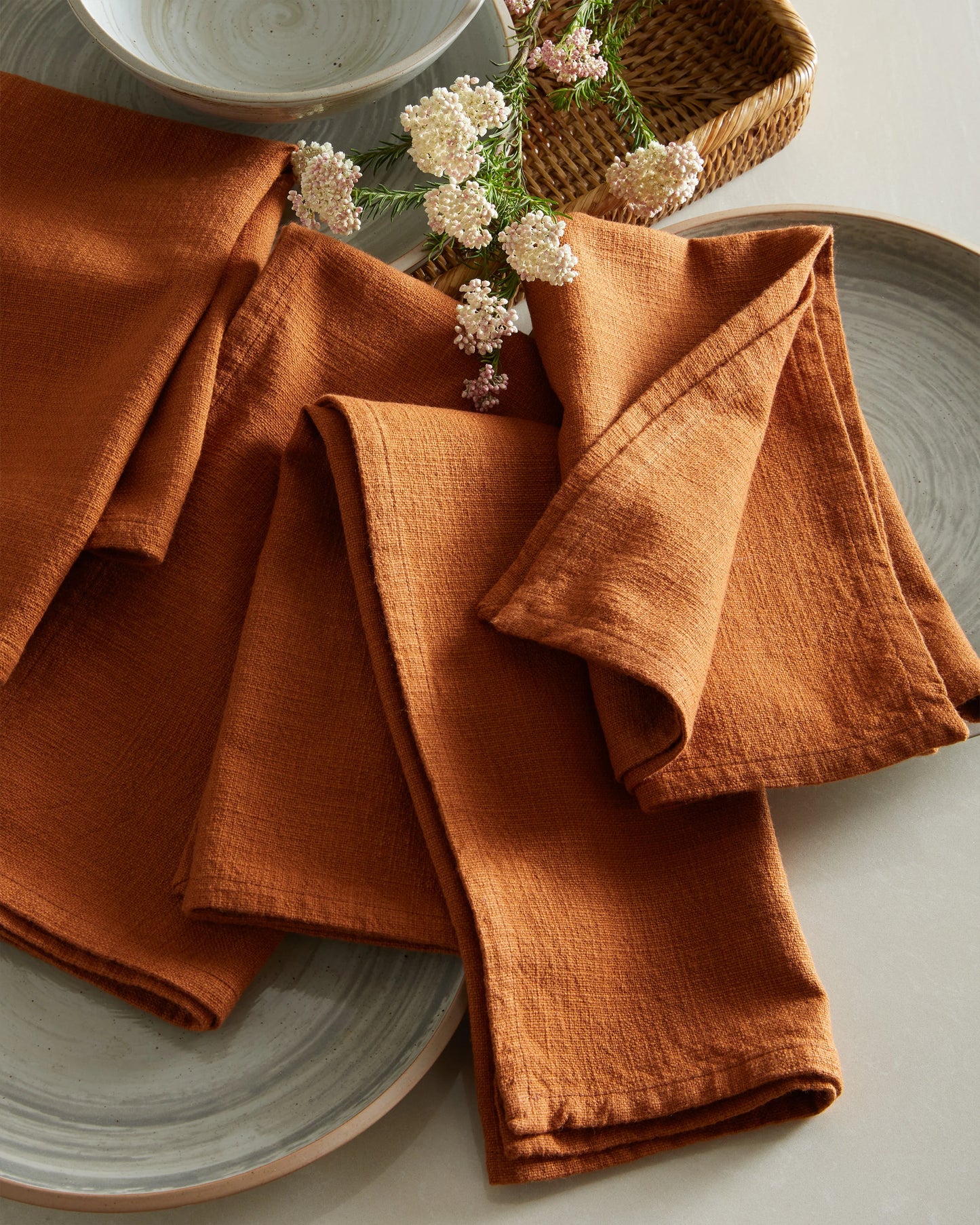 Organic Cotton Napkins (Set of 12) - One Size / Terracotta