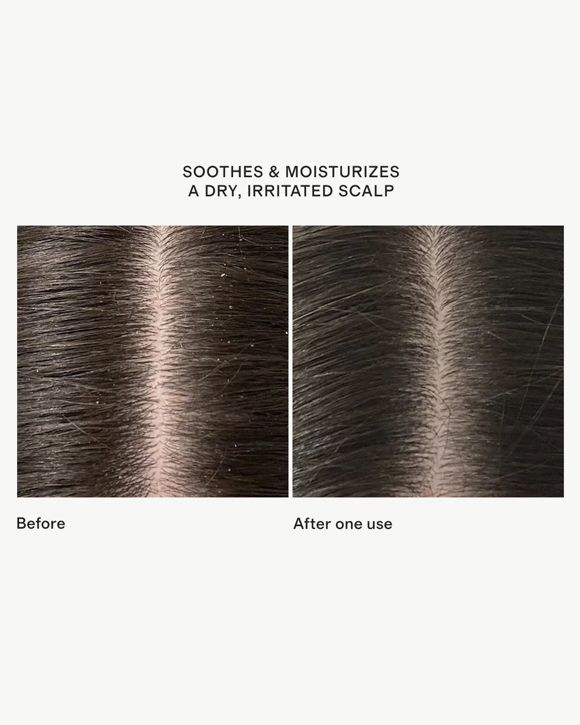 Scalp Revival™ Rosemary Pre-Wash Oil 3.4oz by Briogeo - One Size / No Color