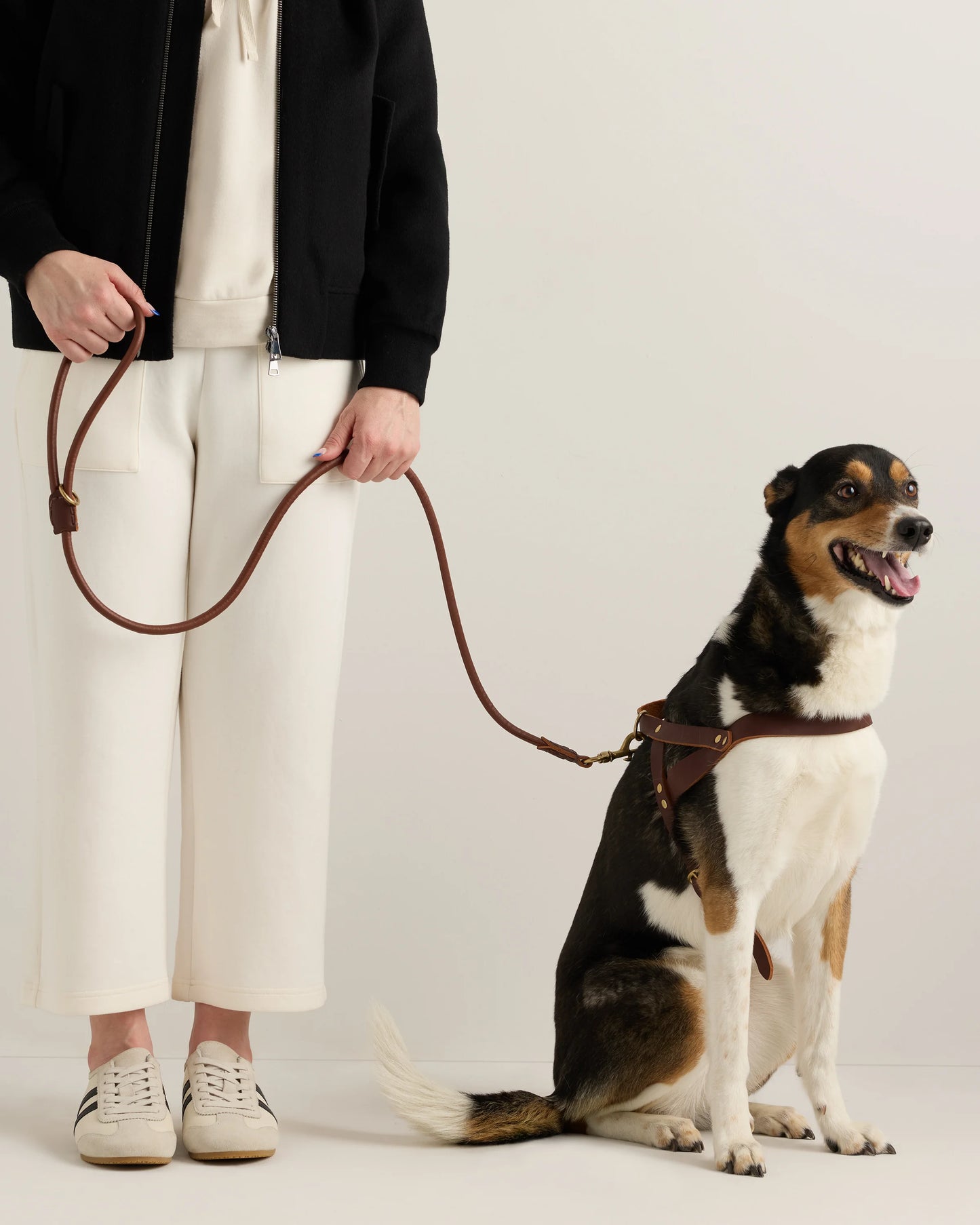 Italian Leather Dog Harness - XS / Brown