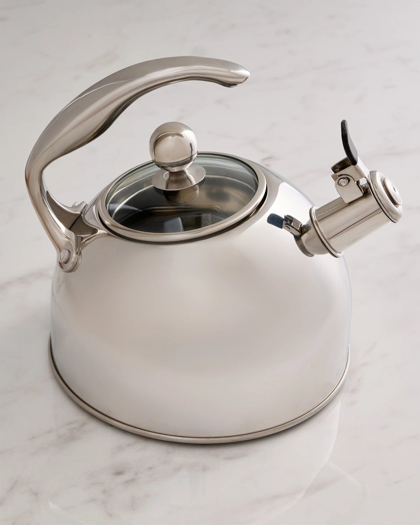 Stainless Steel Tea Kettle - One Size / Stainless Steel
