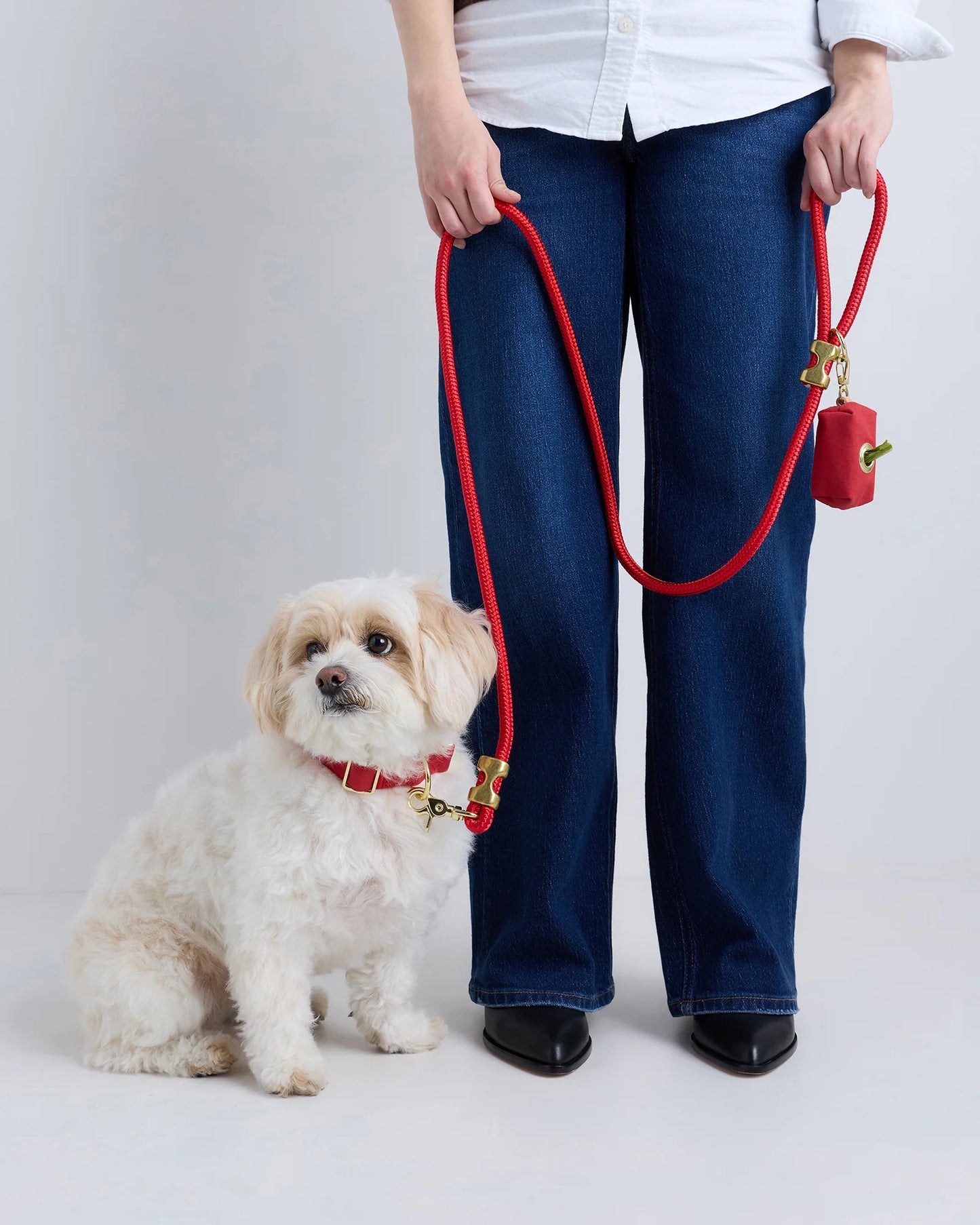 100% Cotton-Wrapped Nylon Dog Collar - XS / Navy