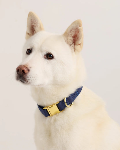 100% Cotton-Wrapped Nylon Dog Collar - XS / Navy
