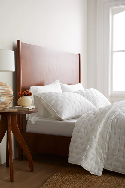 Bamboo Dream Quilted Sham Set - Standard / Sage