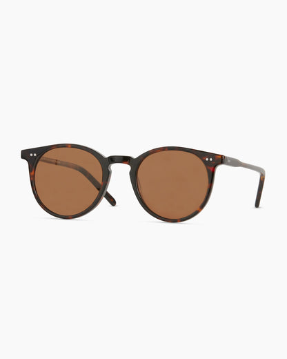 Noah Polarized Acetate Sunglasses - Standard / Tortoise with Brown lens
