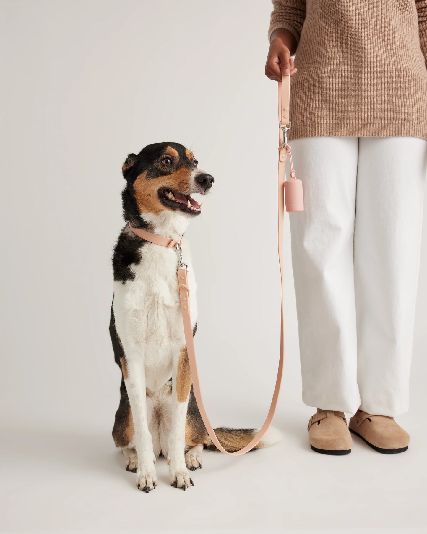 Dog Collar Walk Kit - XS / Black