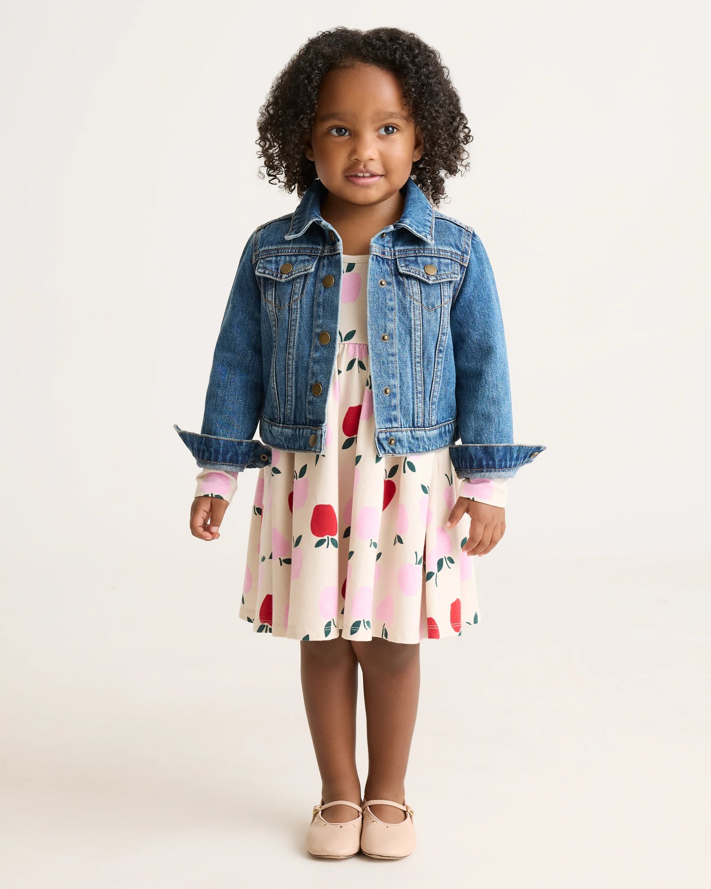 Organic Cotton Long Sleeve Skater Dress - 2T / Red Poppy Garden