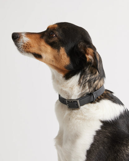 Flex-Poly Dog Collar - XS / Black