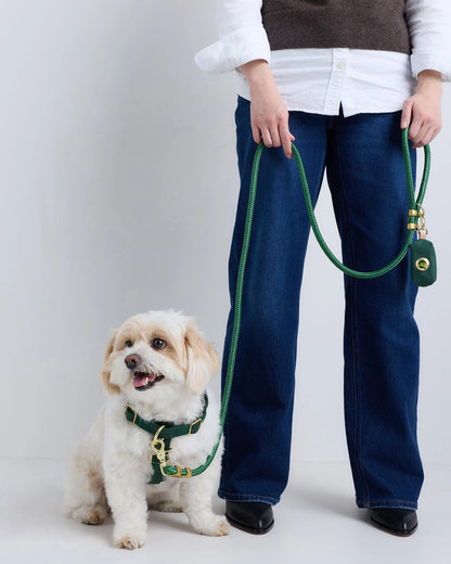100% Cotton-Wrapped Nylon Dog Harness Walk Kit - XS / Ruby