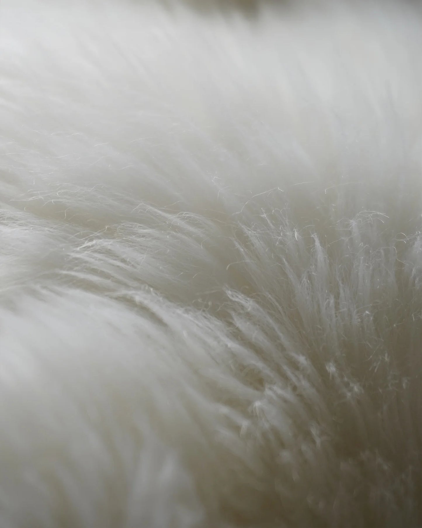 Australian Single Sheepskin Rug - 2' x 3' / Ivory