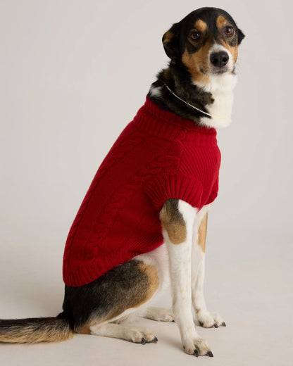 Mongolian Cashmere Cable Knit Dog Sweater - XS / True Navy