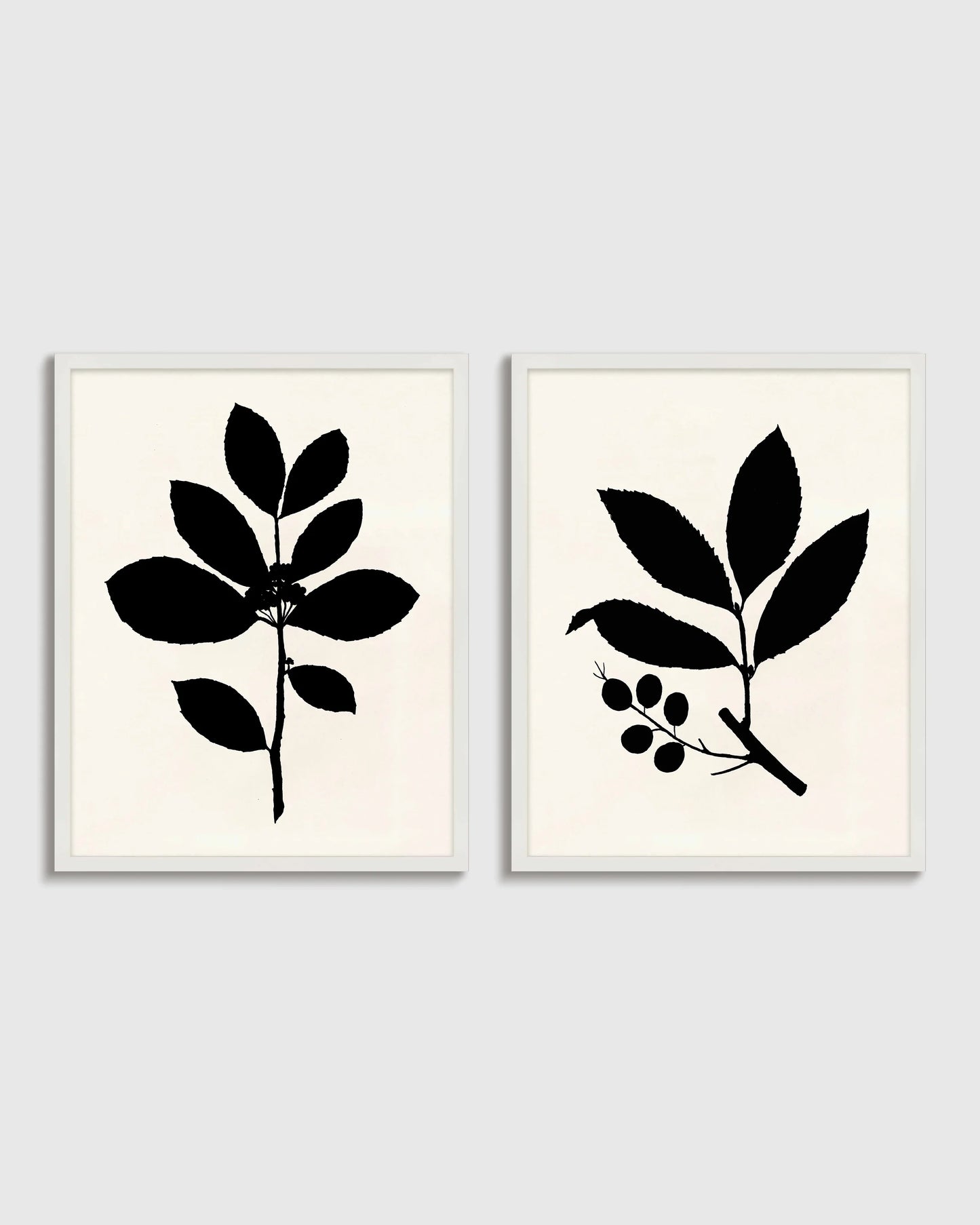 Tea Tree, Cherry Laurel by Philippa Katz (Set of 2) - 17.25"x21.25" / Black