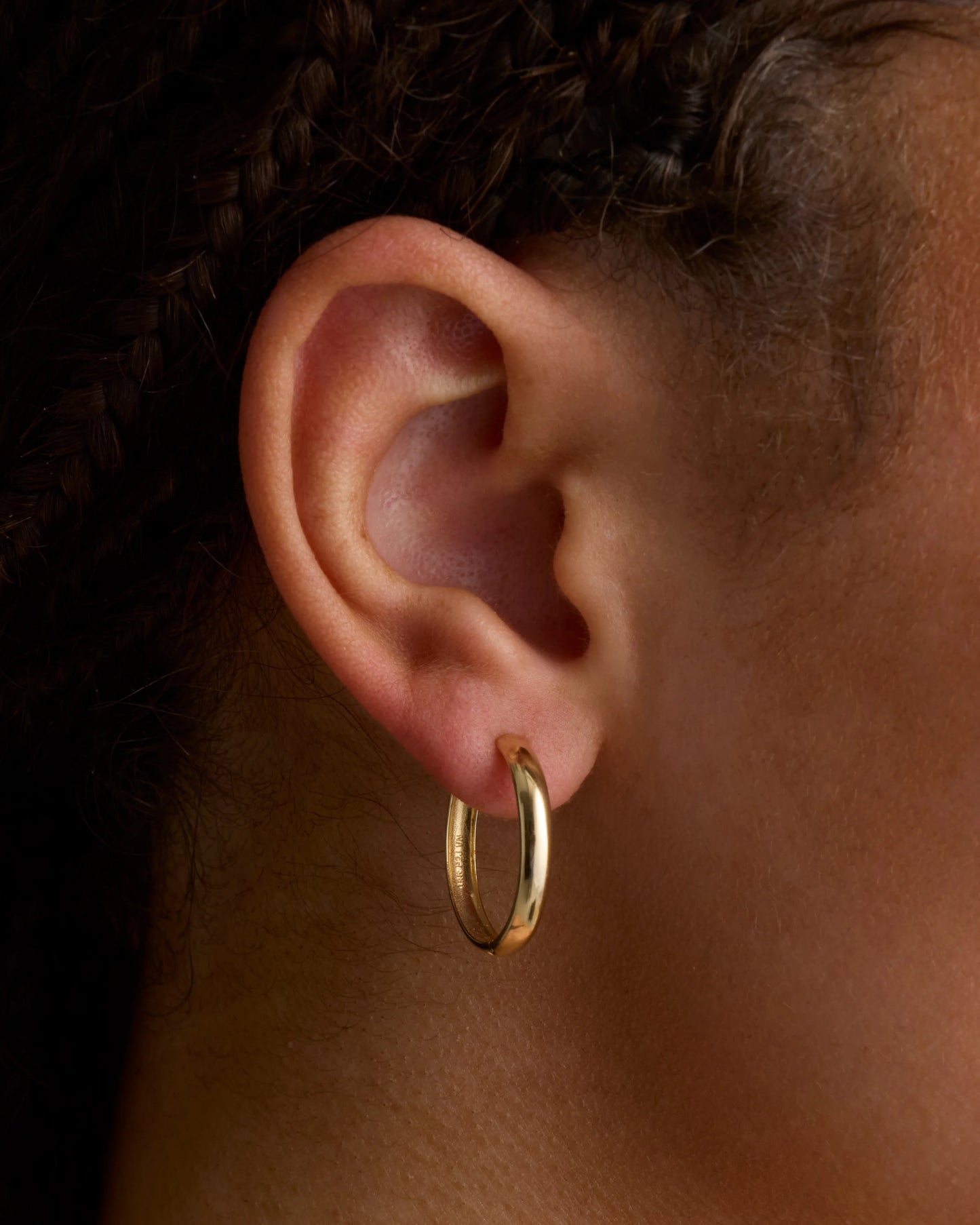 14K Gold Bold Hoops - One Size / Yellow Gold