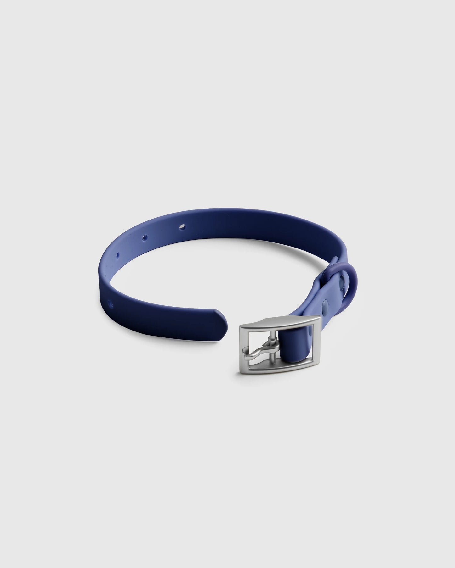 Dog Collar Walk Kit - XS / Black