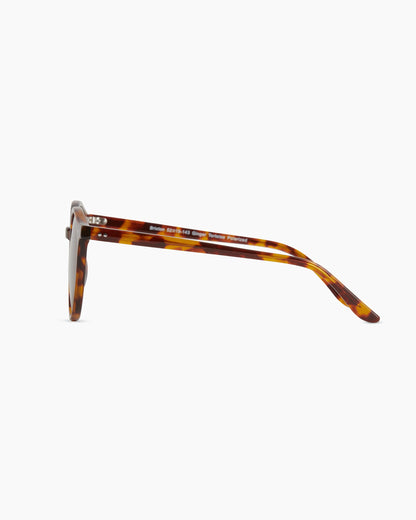 Brixton Polarized Acetate Sunglasses - Standard / Clear Taupe with Brown lens