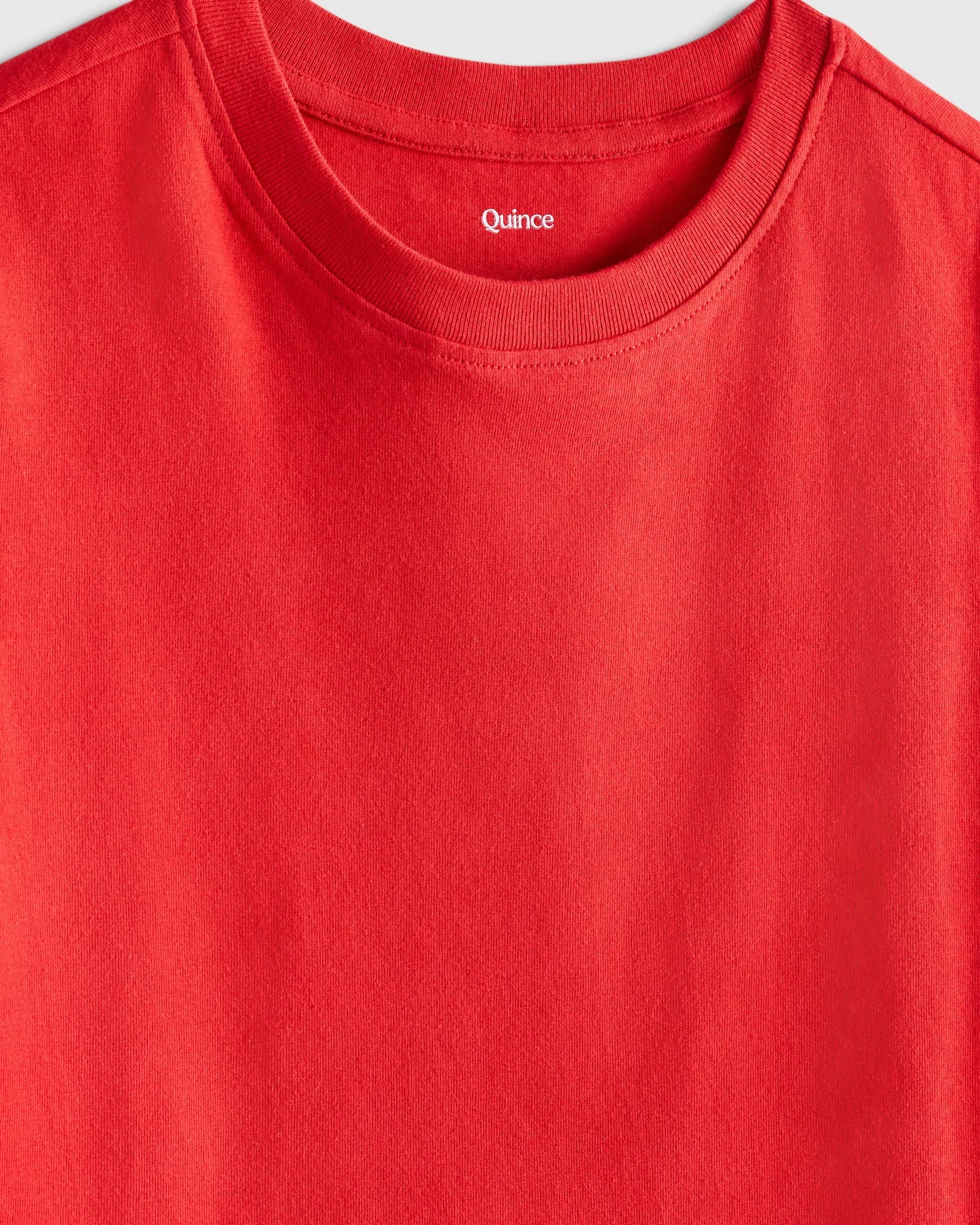 100% Organic Cotton Jersey Short Sleeve Tee - 2T / Dino Sketch