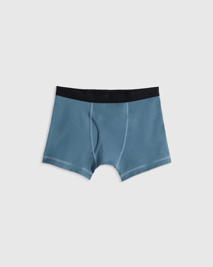 Boys Organic Cotton Boxer Brief 5-Pack - 6 / Solid Neutral Multi Pack