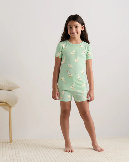 100% Organic Cotton Short Sleeve and Shorts Pajama Set - 6 / Navy Stripe