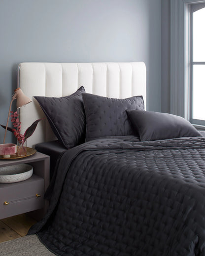 Bamboo Dream Quilted Euro Sham - Euro / Sage