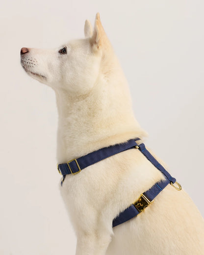 100% Cotton-Wrapped Nylon Dog Harness - XS / Navy