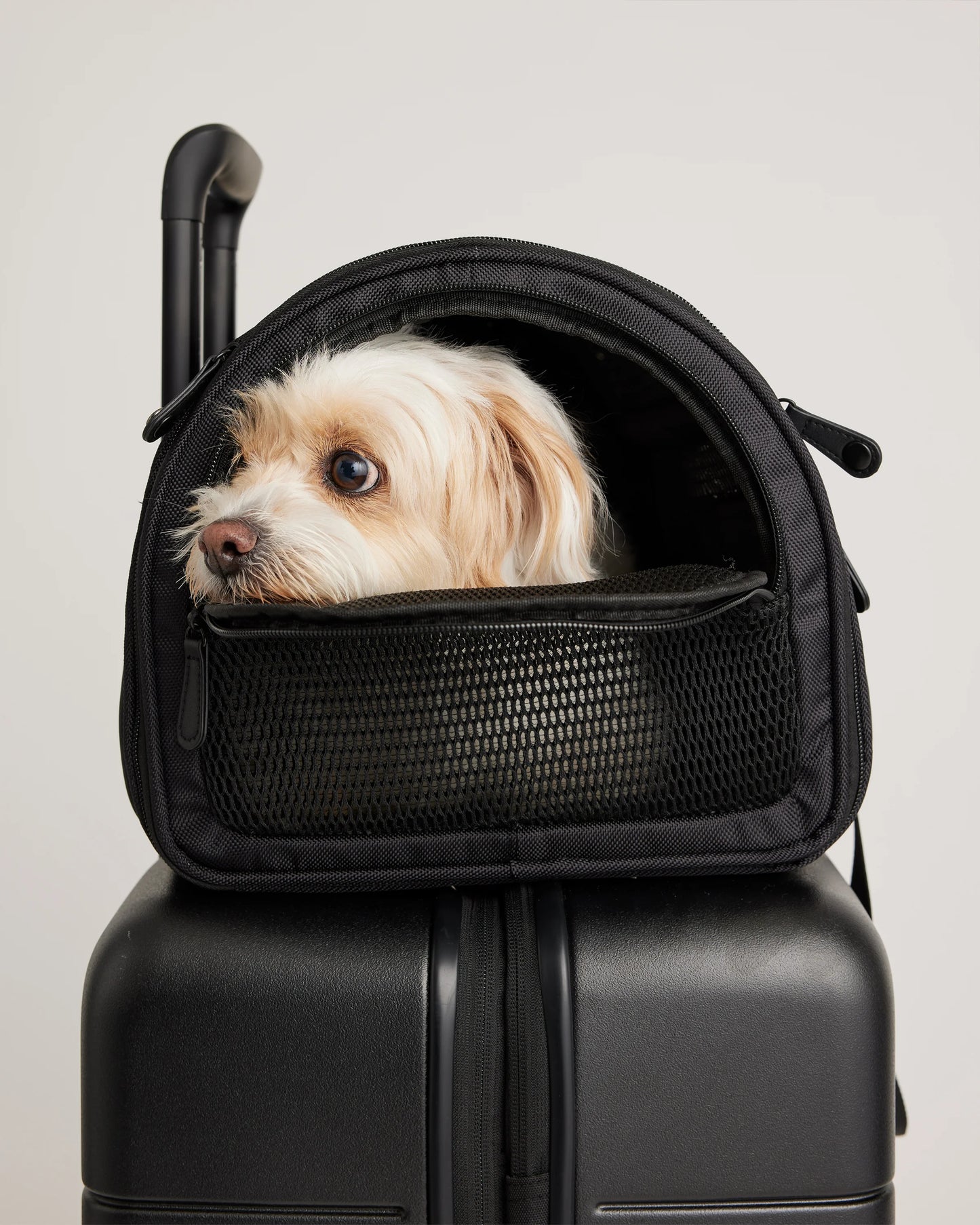 Pet Travel Carrier - One Size / Black