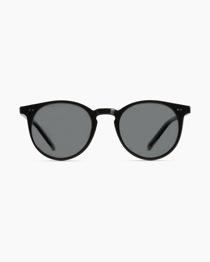 Noah Polarized Acetate Sunglasses - Standard / Tortoise with Brown lens