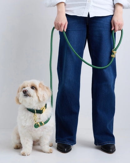 100% Cotton-Wrapped Nylon Dog Collar - XS / Navy