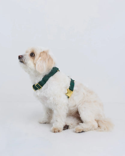 100% Cotton-Wrapped Nylon Dog Harness - XS / Navy
