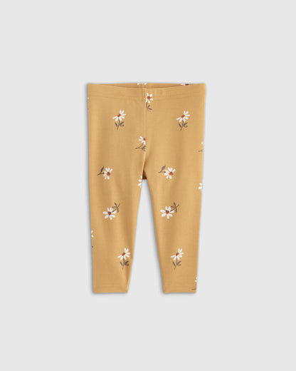 Organic Cotton Leggings 4-Pack - 0-3M / Golden Daisy/Black Dot