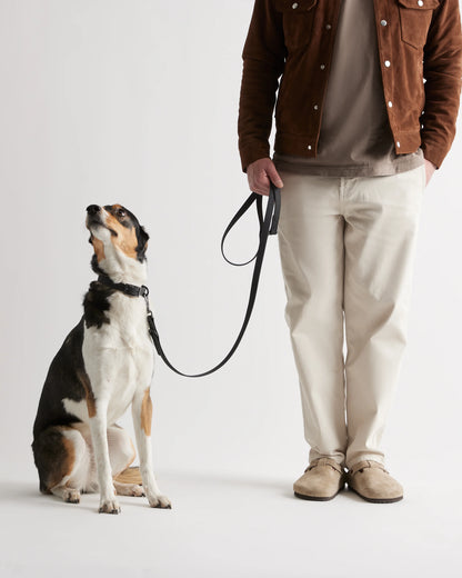 Flex-Poly Dog Leash - Standard / Black