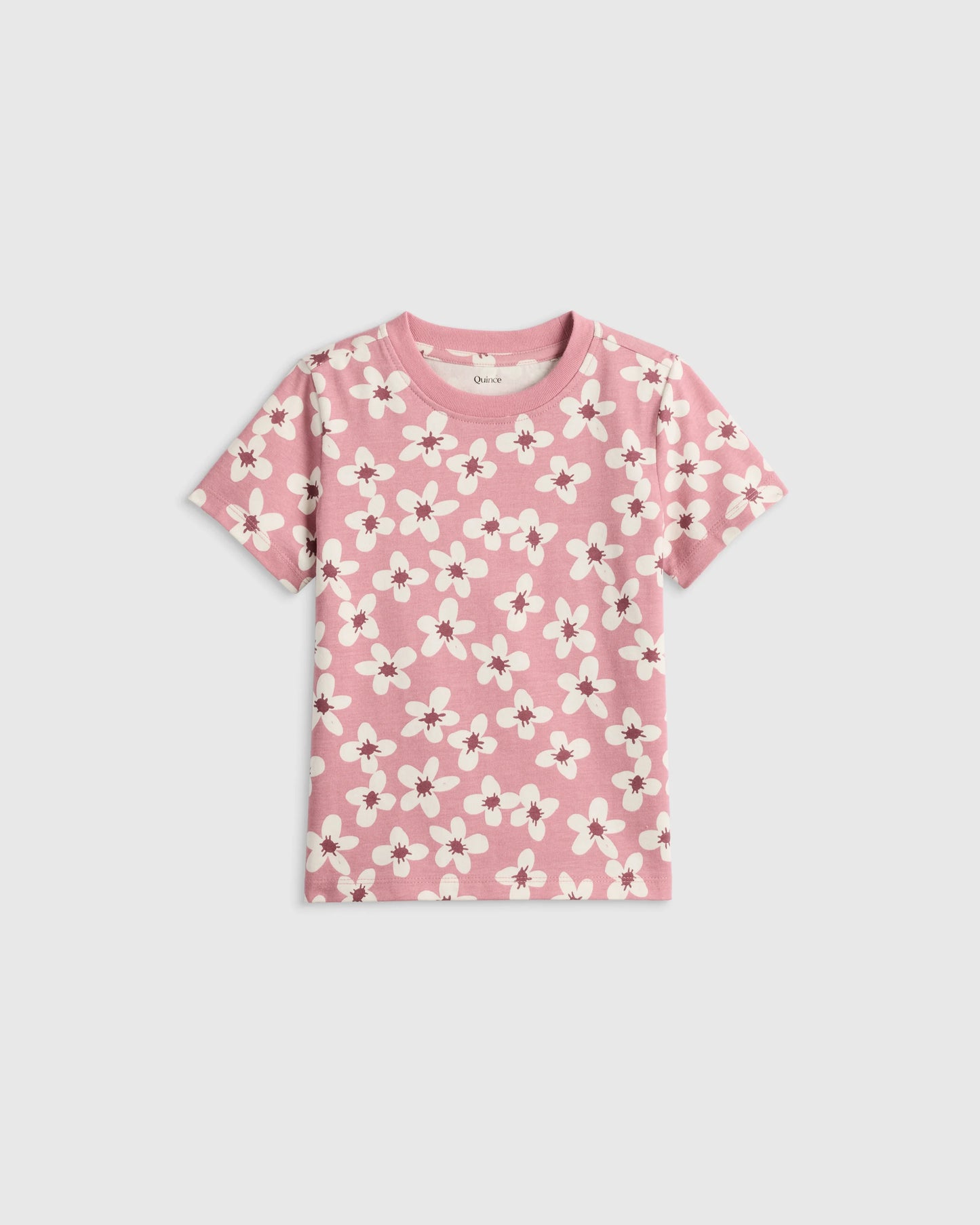 100% Organic Cotton Jersey Short Sleeve Tee - 2T / Dino Sketch