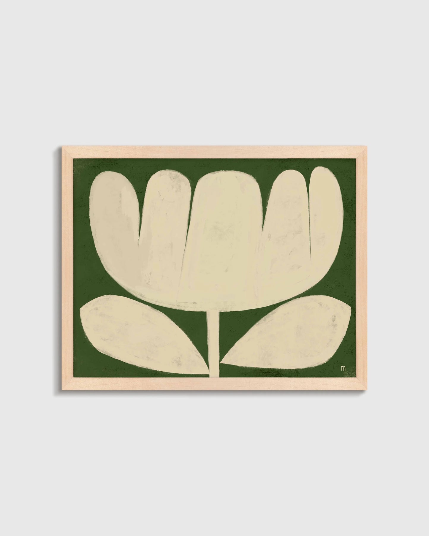 Tulip in Full by Marco Marella - 17.25"x25.25" / White