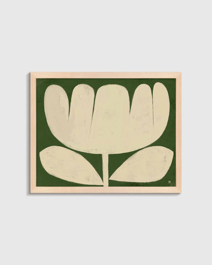 Tulip in Full by Marco Marella - 17.25"x25.25" / White