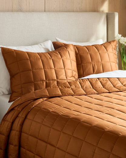 Bamboo Box Quilted Sham Set - Standard / Sage