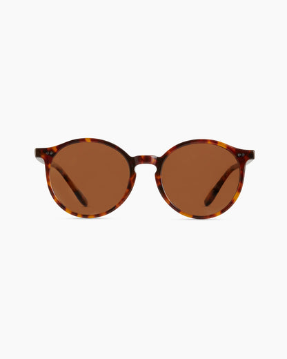 Brixton Polarized Acetate Sunglasses - Standard / Clear Taupe with Brown lens