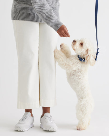 Dog Collar Walk Kit - XS / Black