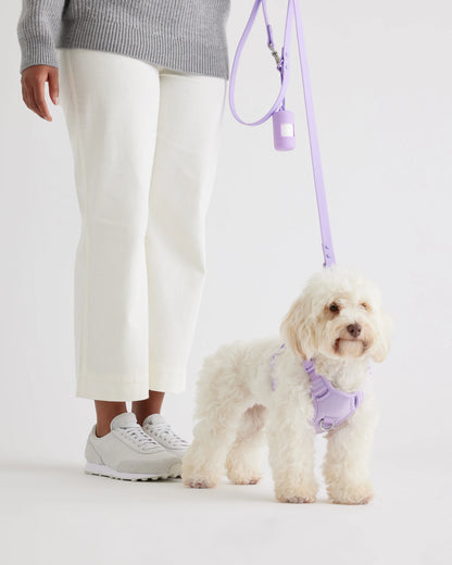 Dog Harness Walk Kit - XS / Black