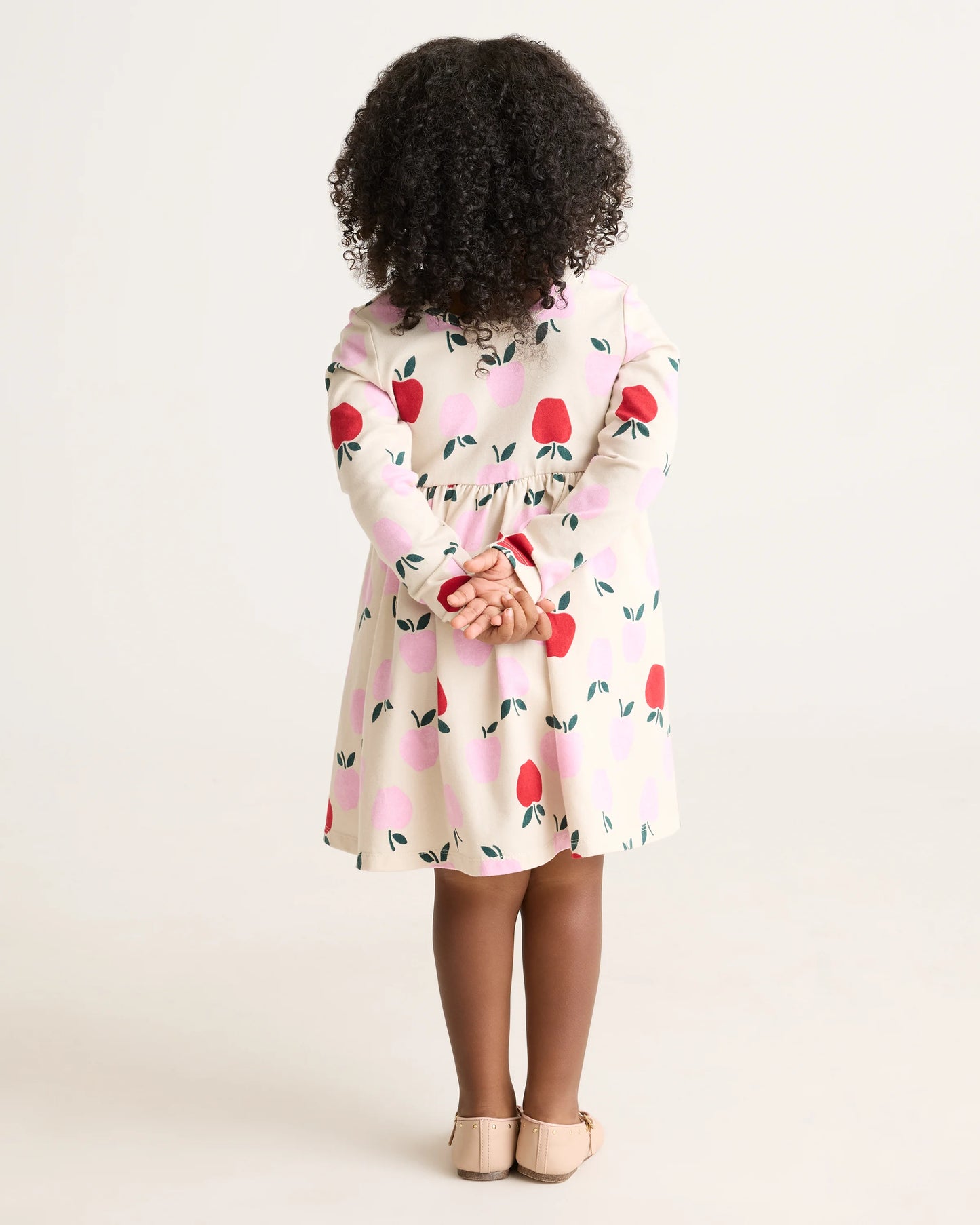 Organic Cotton Long Sleeve Skater Dress - 2T / Red Poppy Garden