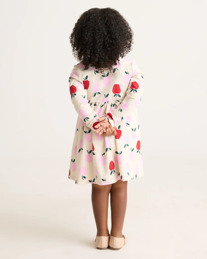 Organic Cotton Long Sleeve Skater Dress - 2T / Red Poppy Garden