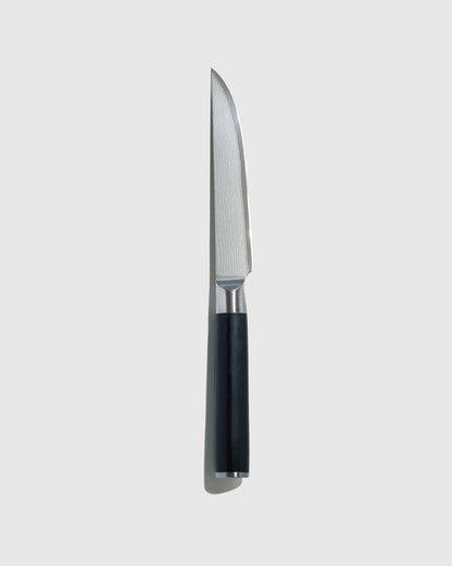 Essential Japanese Damascus Steel Steak Knife Set - One Size / No Color