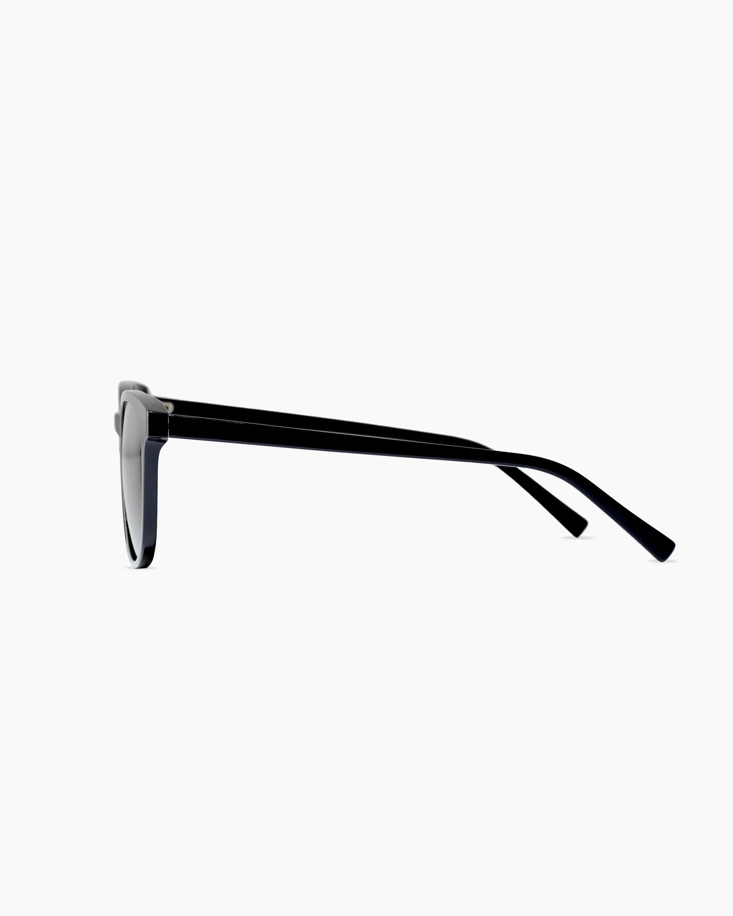 Charlie Polarized Acetate Sunglasses - Standard / Clear with Grey lens