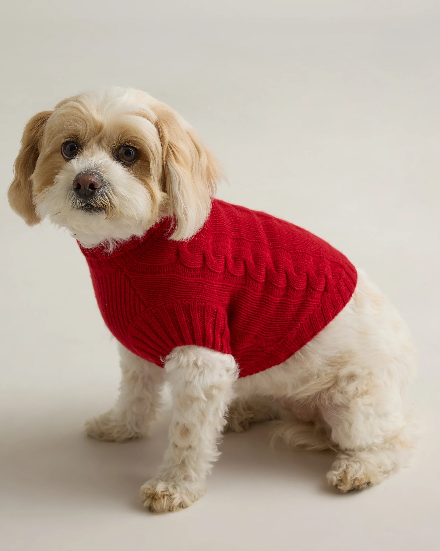 Mongolian Cashmere Cable Knit Dog Sweater - XS / True Navy