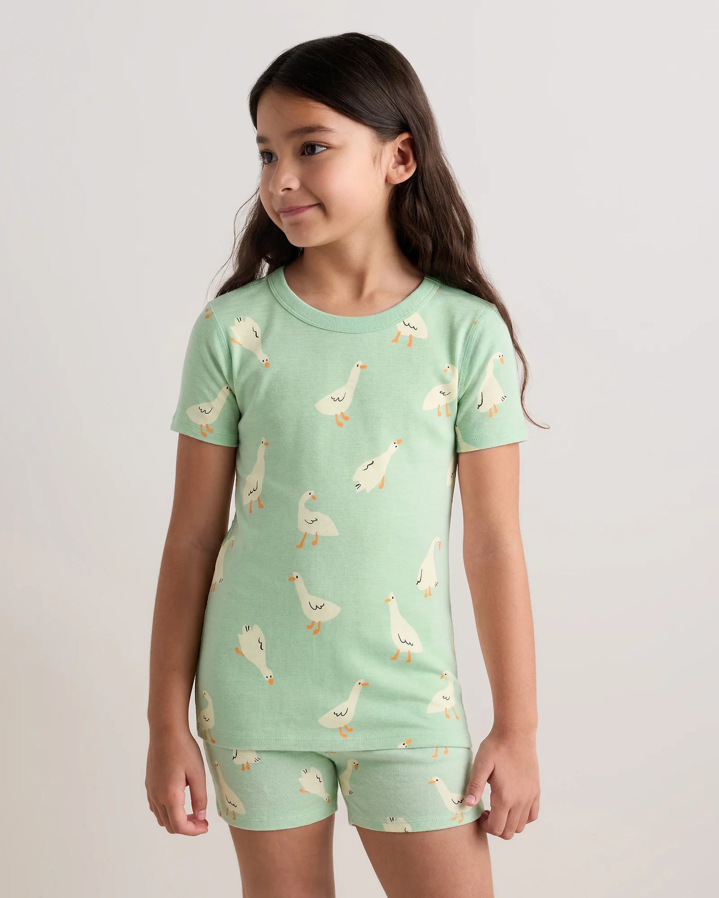 100% Organic Cotton Short Sleeve and Shorts Pajama Set - 6 / Navy Stripe
