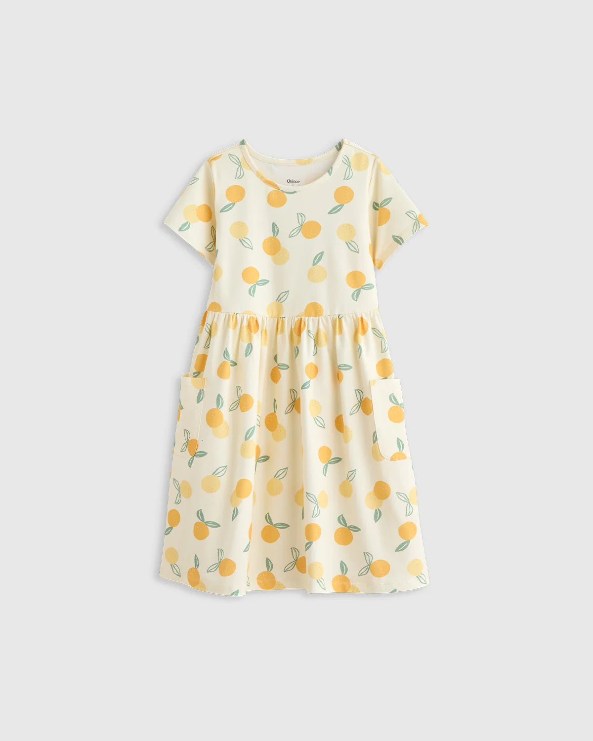 Organic Cotton Fit and Flare Pocket Dress - 2T / Critter Floral
