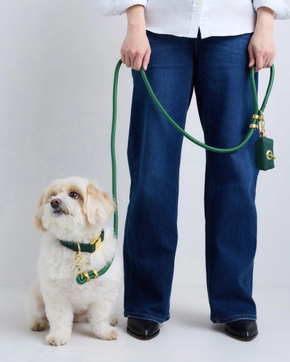 100% Cotton-Wrapped Nylon Dog Collar Walk Kit - XS / Ruby