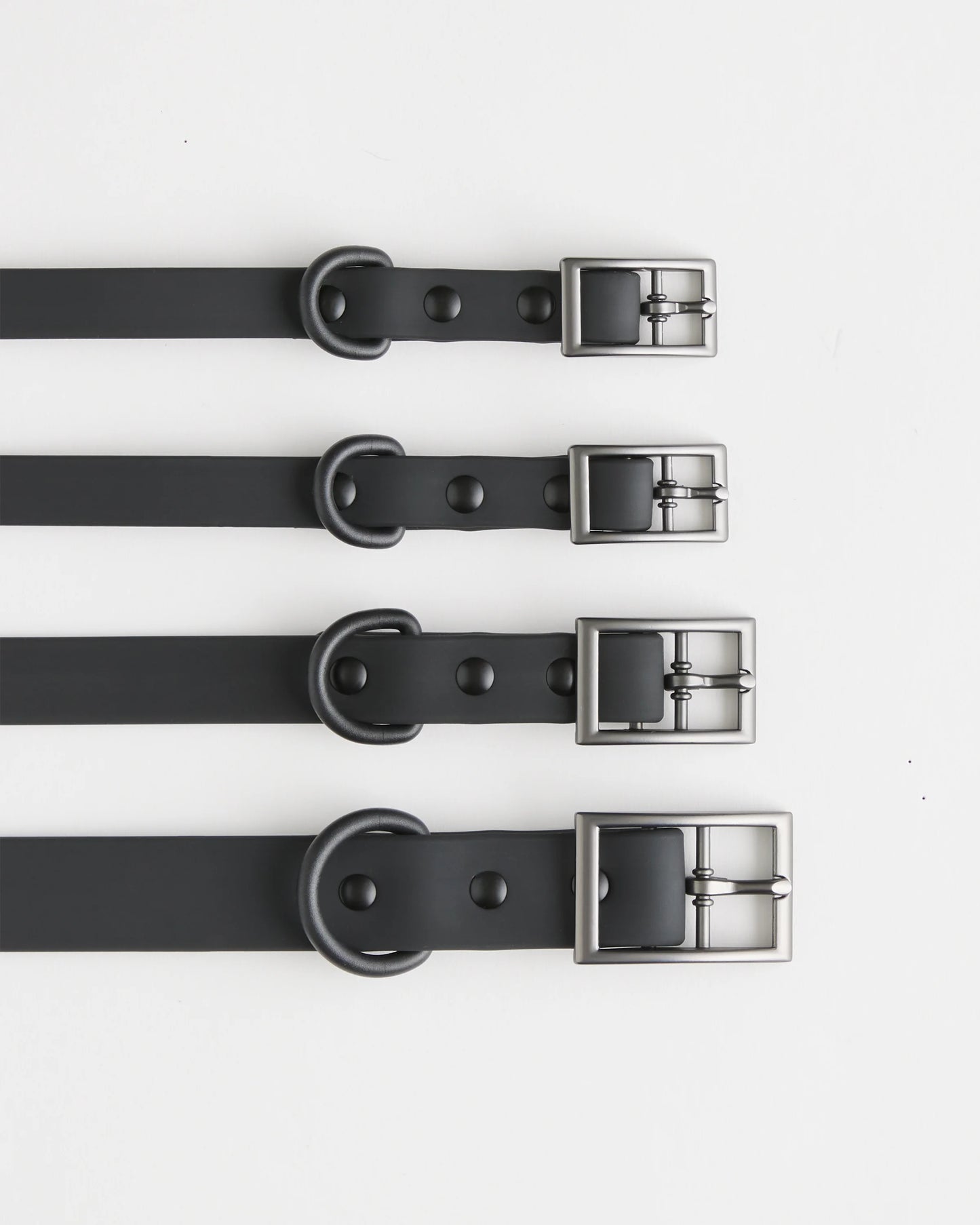 Dog Collar Walk Kit - XS / Black