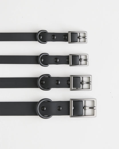 Dog Collar Walk Kit - XS / Black