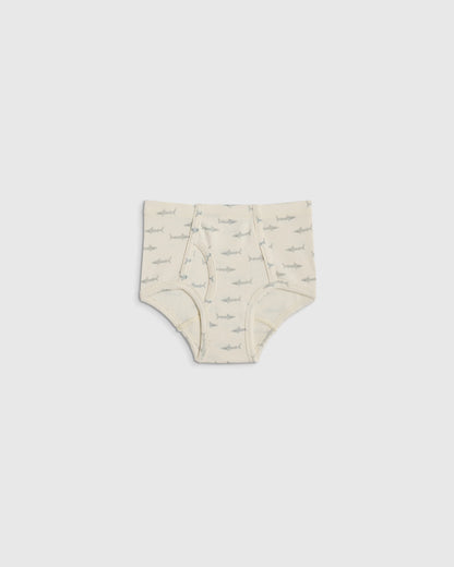 Boys 100% Organic Cotton Classic Briefs 7-pack - 2T / Boy Mix Prints